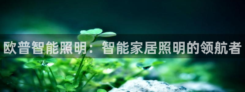 云顶国际区块链怎么样啊