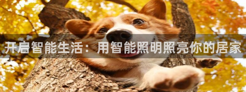 云顶国际官网下载手机版
