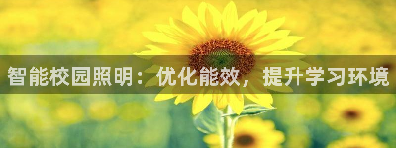 云顶集团优惠申请大厅