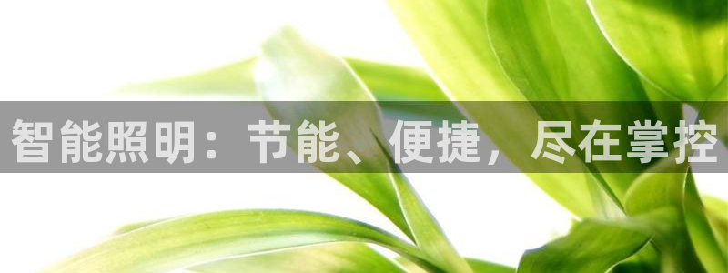 云顶esl