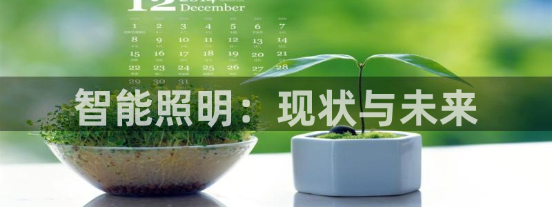 云顶国际服怎么选服务器