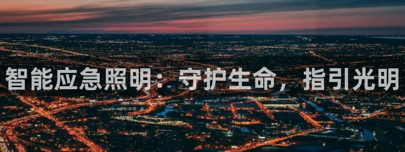 中国云顶集团