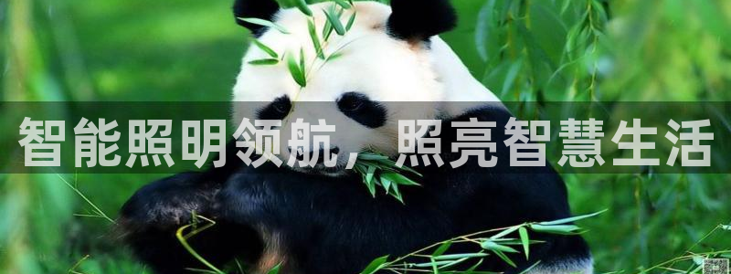 云顶国际俱乐部