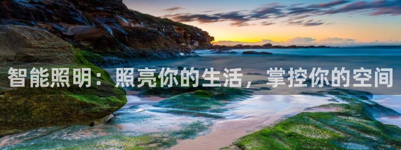 国际服端游云顶在哪下载