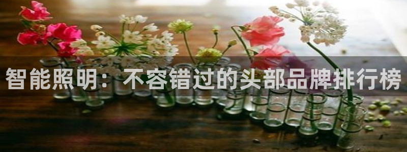 云顶集团app免费下载安卓
