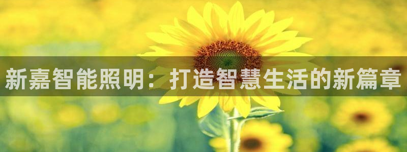 云顶电玩城游戏官网