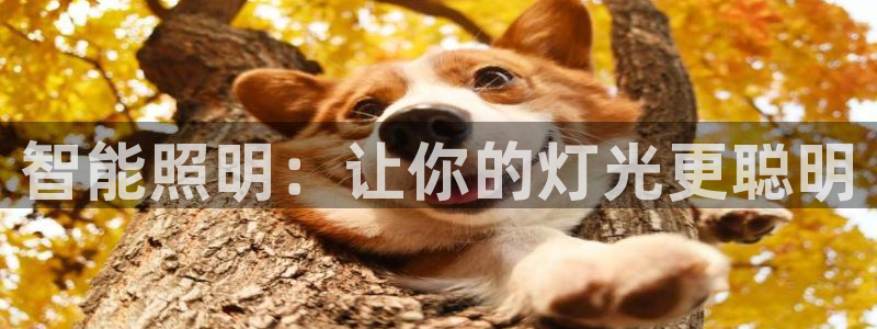 云顶国际ktv会所电话