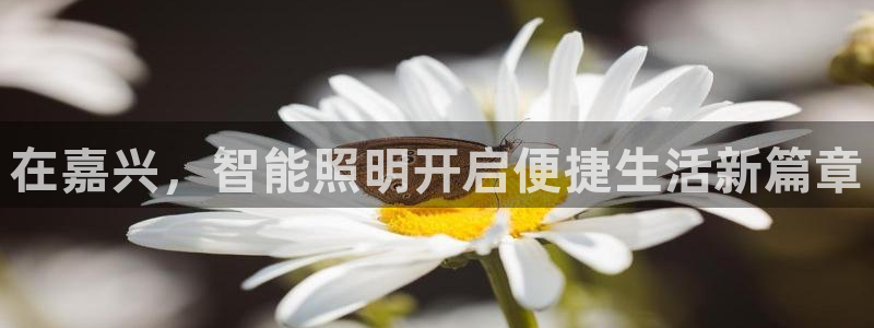 云顶国际服mac汉化