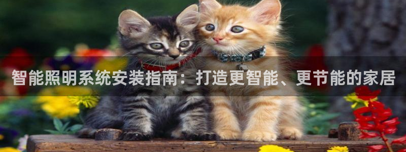 云顶国际app官网