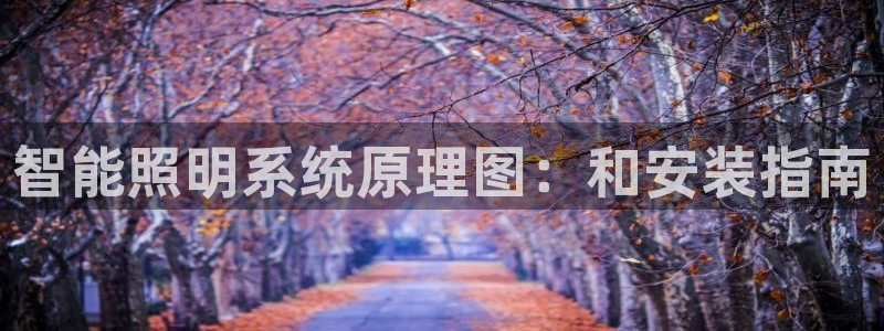 云顶集团招聘