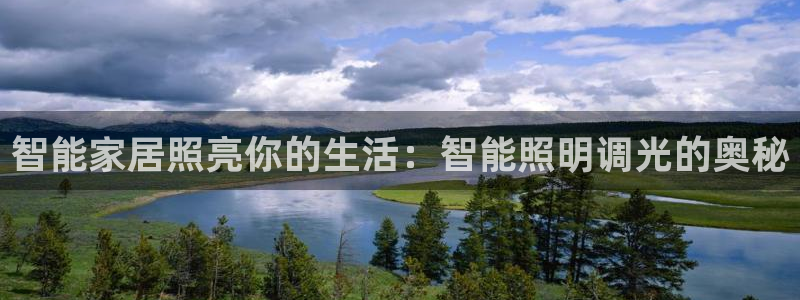 云顶国际房地产有限公司