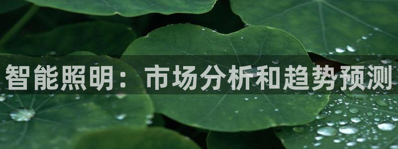云顶国际软装公司怎么样知乎