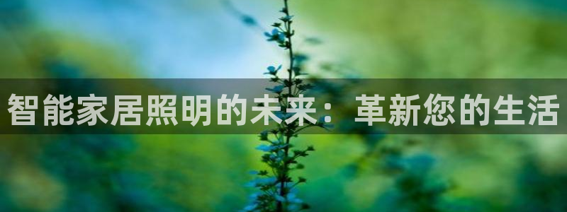 云顶国际老板是谁呀
