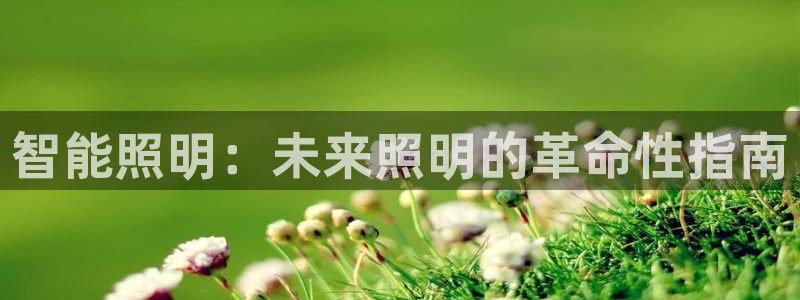 云顶国际存款