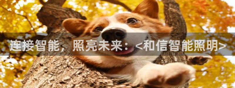 云顶网站是多少