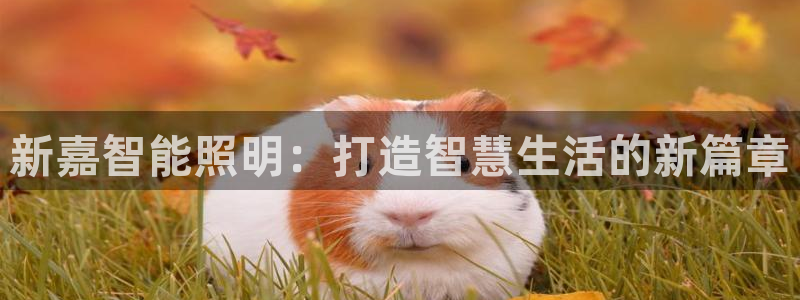 上海云顶国际会所有什么服务