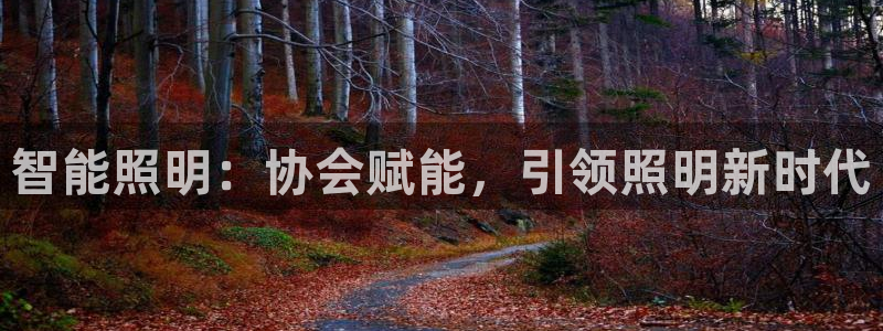 云顶国际二手房出售信息