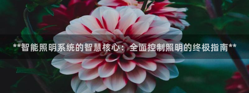 云顶国际俱乐部