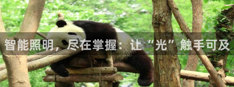 云顶国际麻将胡了多少张牌