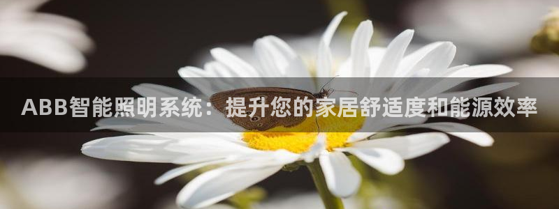 云顶国际app是什么游戏