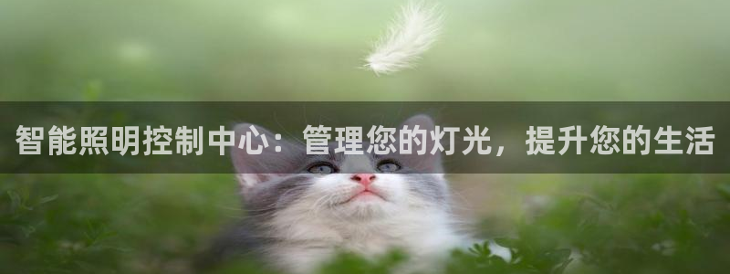 云顶国际服s11什么时候更新