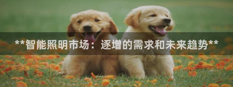 云顶国际大厦