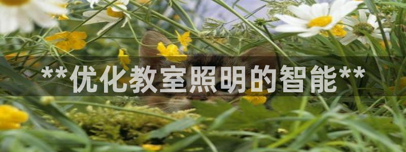 云顶国际是正规游戏吗知乎