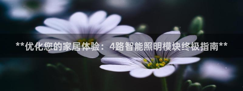 云顶国际服S9什么时候更新