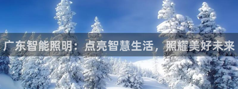 官方云顶国际网站下载