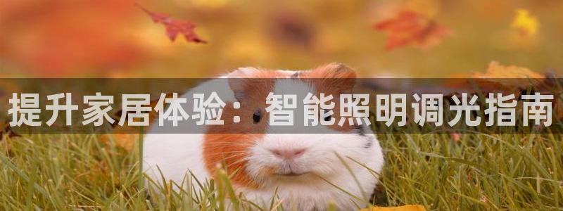 云顶集团董事长林东简历介绍