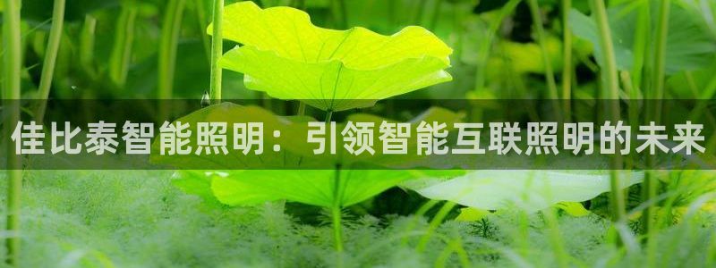 成山路800号(云顶国际商业广场a座101)电话