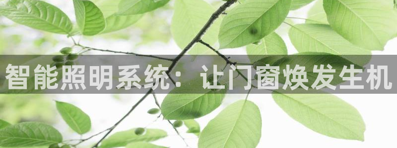 云顶国际app下载安卓