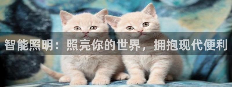 云顶国际大酒店停车场收费