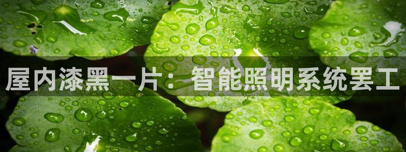 云顶国际集团发展有限公司
