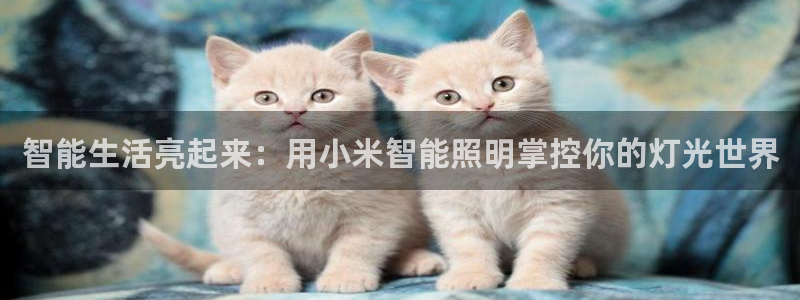 云顶国际电子游戏怎么玩