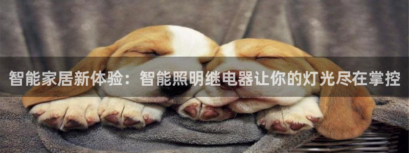 云顶国际晟荣协会荣誉奖项