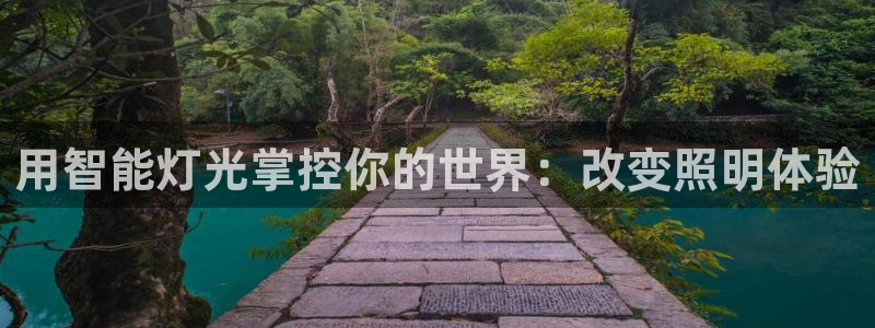 云顶国际麻将胡了多少张牌