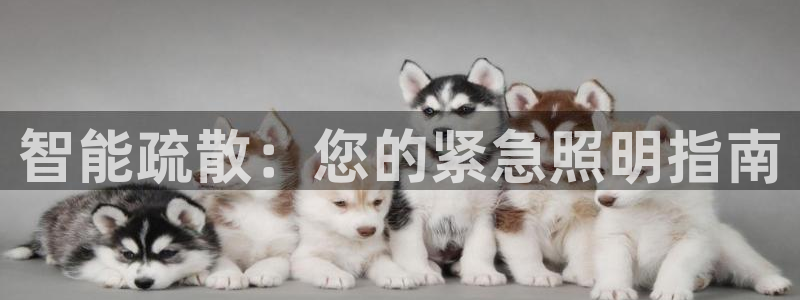 云顶国际大酒店招聘信息