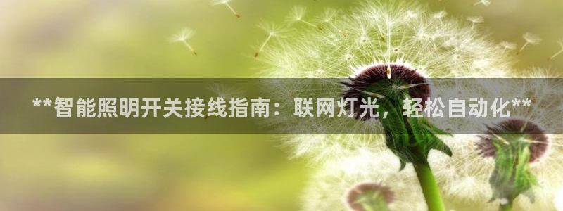 云顶国际ktv怎么样