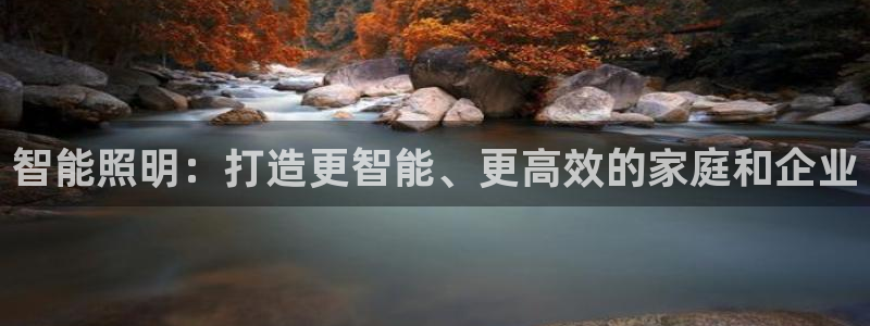 云顶国际物流有限公司