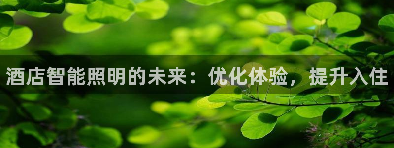 云顶国际公馆