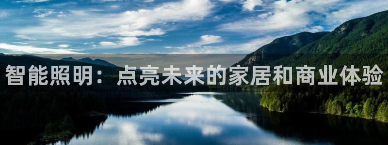 云顶国际软装公司怎么样