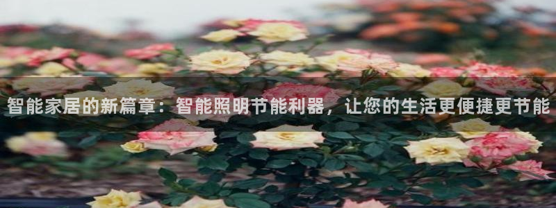 云顶网址攻略