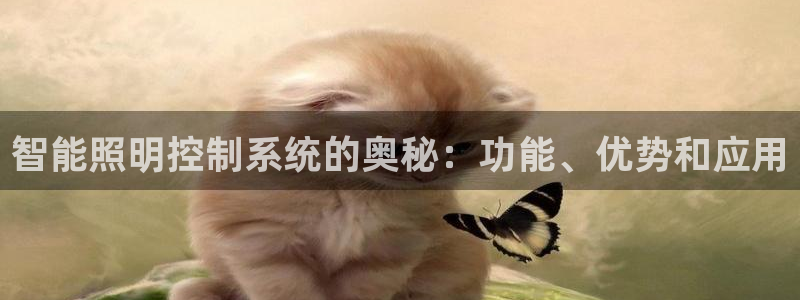 云顶国际商业广场A座101
