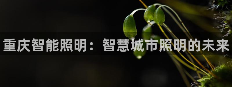 云顶国际游戏平台app