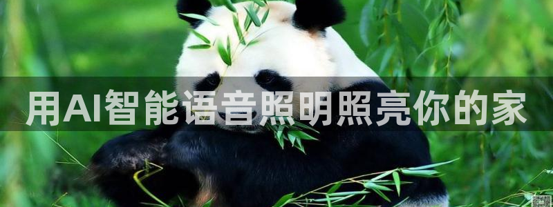 云顶国际要怎么注册