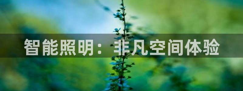 云顶国际app免费下载安装