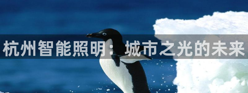 云顶国际app免费下载