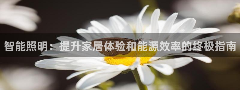 云顶国际服什么时候更新s10.5