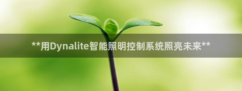 云顶国际存款